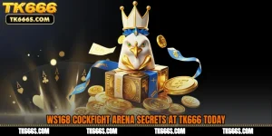 WS168 Cockfight Arena Secrets at TK666 Today